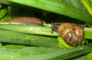 Mesures préventives