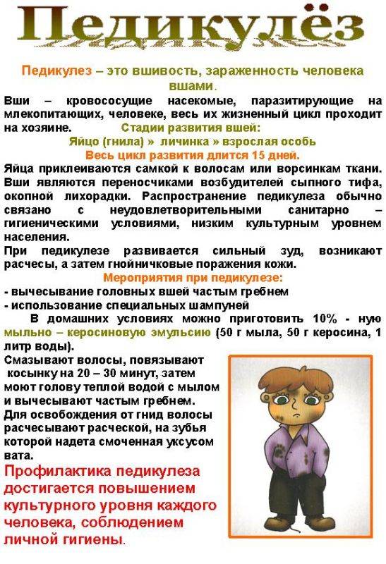 Mémo sur la pédiculose
