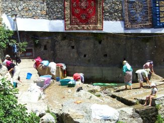 de quoi ont peur les punaises de lit