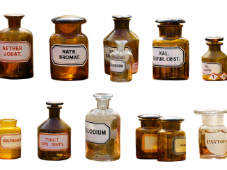 remèdes contre les tiques pour les humains