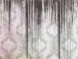 comment enlever les champignons des murs