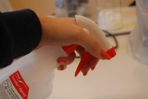 comment empoisonner les puces dans une maison