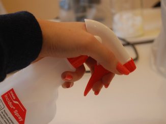 comment empoisonner les puces dans une maison