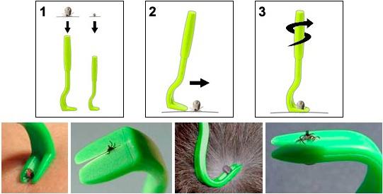 suppression des tiques