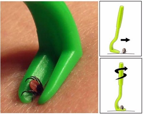 Luminaire Tick Twister