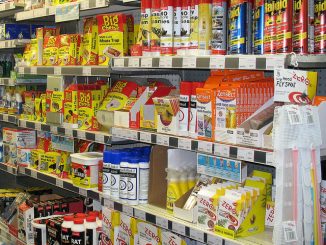 quelle odeur les cafards ont peur