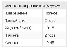 Phénologie du développement