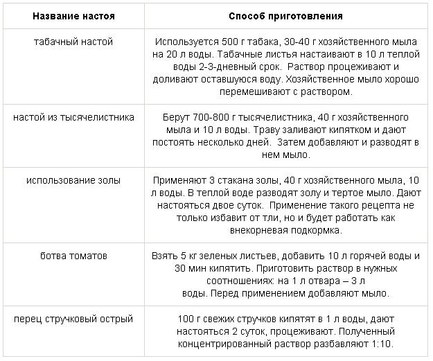Remèdes populaires pour les pucerons
