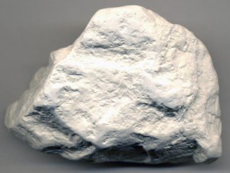 diatomite quelle est cette application