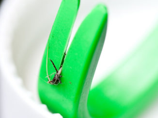 dans quelle direction dévisser la tique