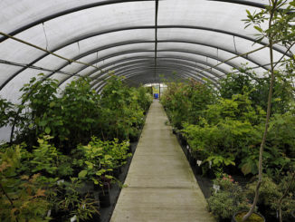 vérificateur de polycarbonate sulfurique