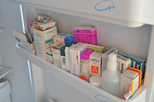 remèdes contre les puces pour les humains