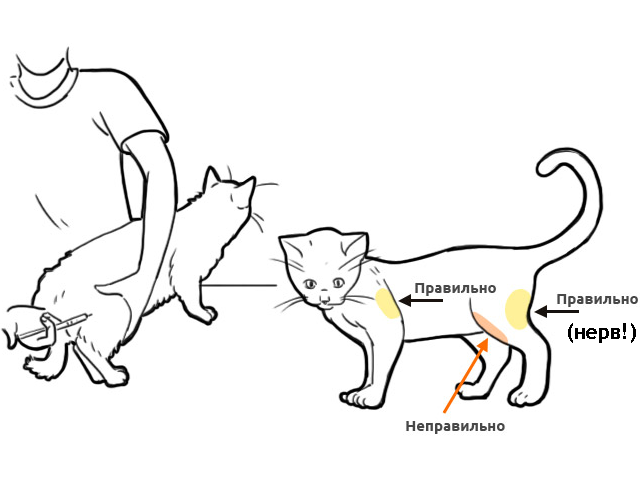 Comment faire une injection