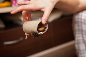 qu'effrayer les cafards