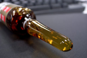 gouttes de chélidoine pour les chats