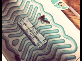 cafard pièges combat