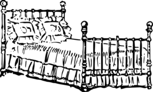 comment mord une punaise de lit