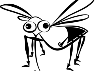 Comment enduire une piqûre de moustique chez les enfants