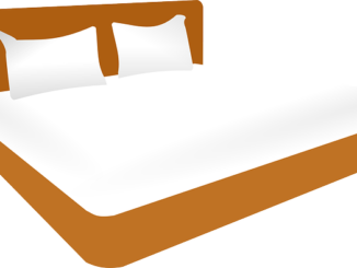 punaise de lit petit