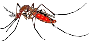 Crème après une piqûre de moustique