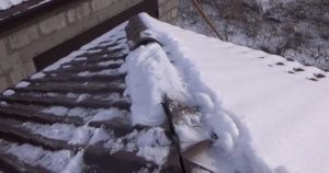 Où les insectes nuisibles hivernent et comment les combattre